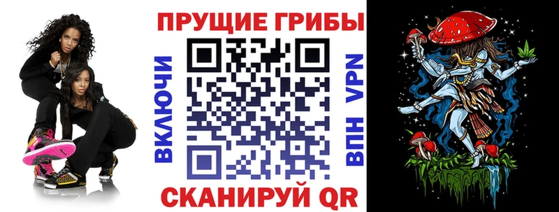 Псилоцибиновые грибы Psilocybine cubensis  Заозёрный 