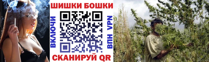 Каннабис MAZAR  купить   Заозёрный 